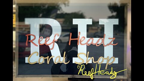 Reef Headz also has fish