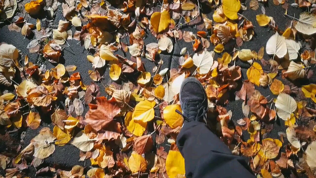[Kidcat Sounds] Walking On Autumn Leaves (57seconds)