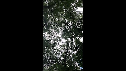 Just a chill Love chat