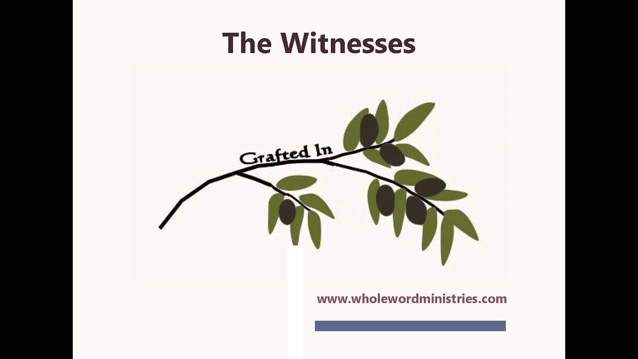 The Witnesses