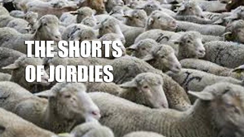 The Shorts Of Jordies