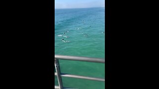 Waves of energy download info