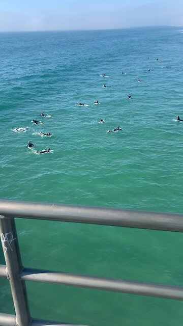 Waves of energy download info