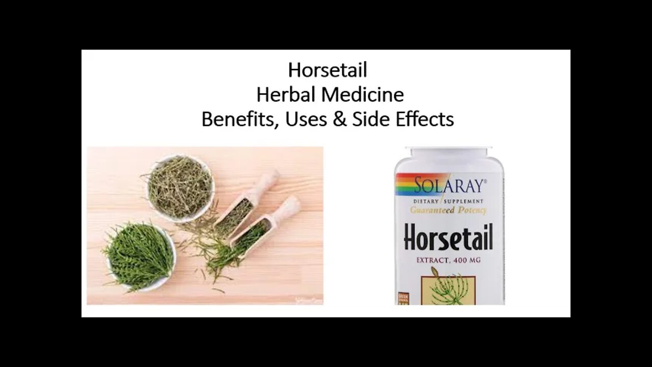 Horsetail Herbal Medicine Benefits, Uses & Side Effects