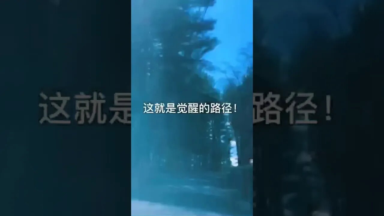 Kai wu tang world citizen channel 2020.4.8