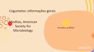 [pt. 1] Cogumelos aumentam a longevidade e a saúde no geral