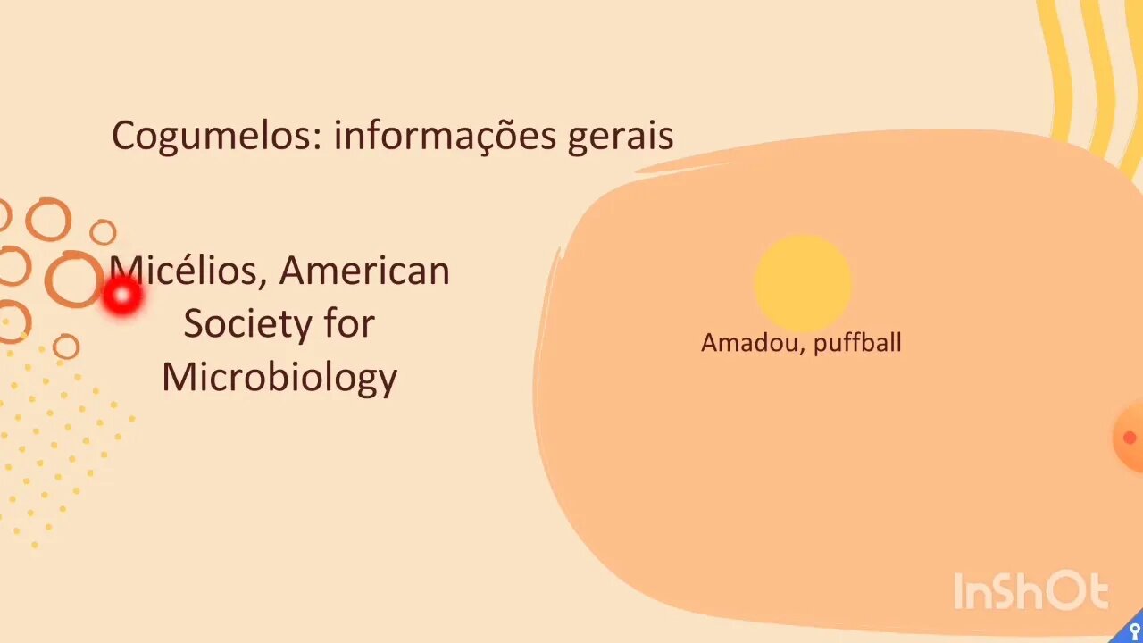 [pt. 1] Cogumelos aumentam a longevidade e a saúde no geral