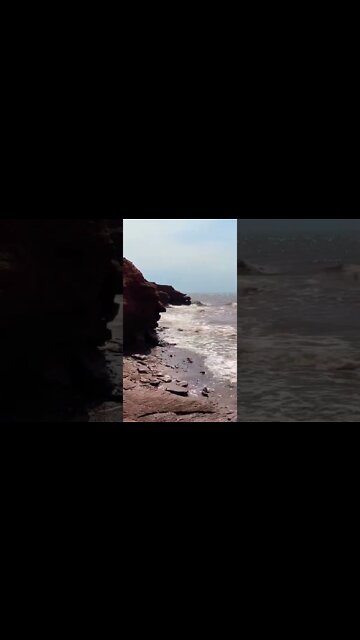 Where land meets the sea 🌊