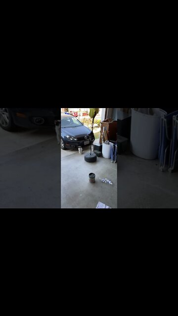 Have I become that dude that has like 12 cats around his house?