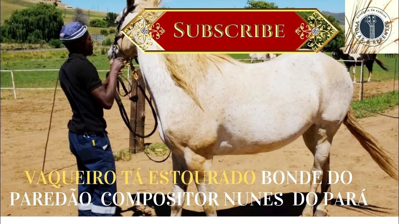 VAQUEIRO TÁ ESTOURADO BONDE DO PAREDÃO (IMAGENS CAPA Magda Ehlers South-Afric )