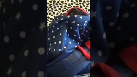 🥰🤣 Mission Impossible #cute #funny #shorts