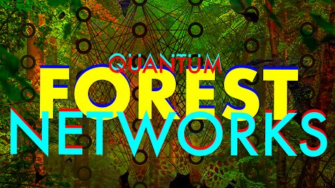 QUANTUM FOREST NETWORKS