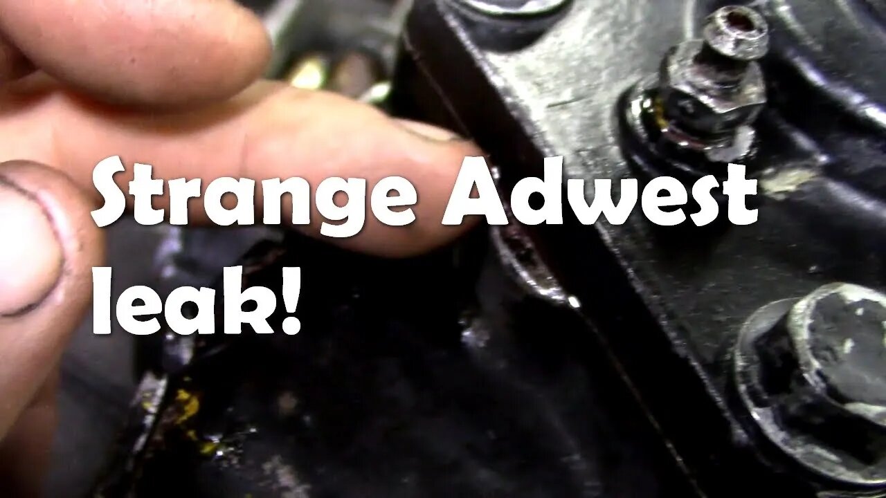 Why does this Adwest power steering box leak when it is standing, not running