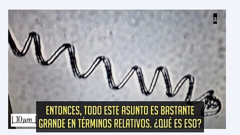 Dr. John Campbell explica sobre la presencia de nanotecnología autoensamblable en inyectables covid