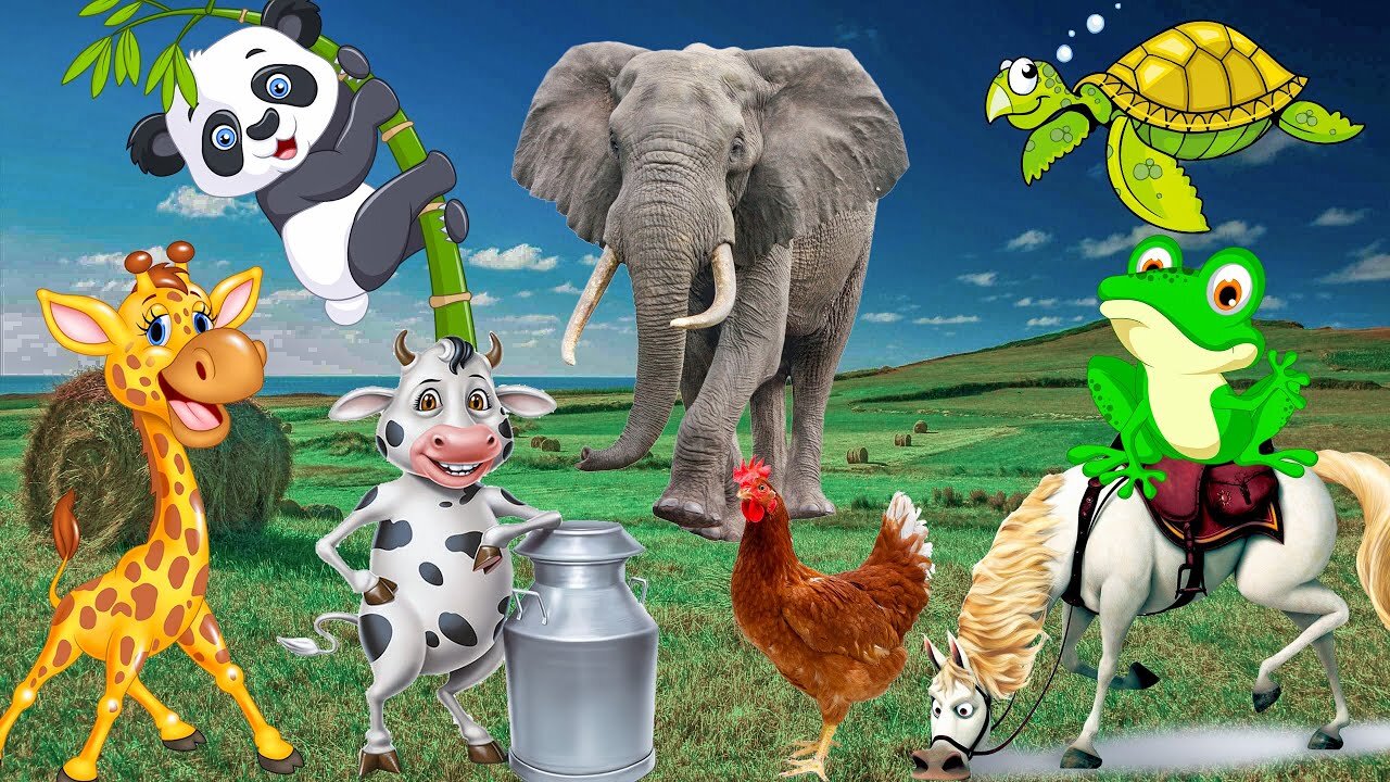 All animals sounds and cute videos horse elephant lion bear Birds