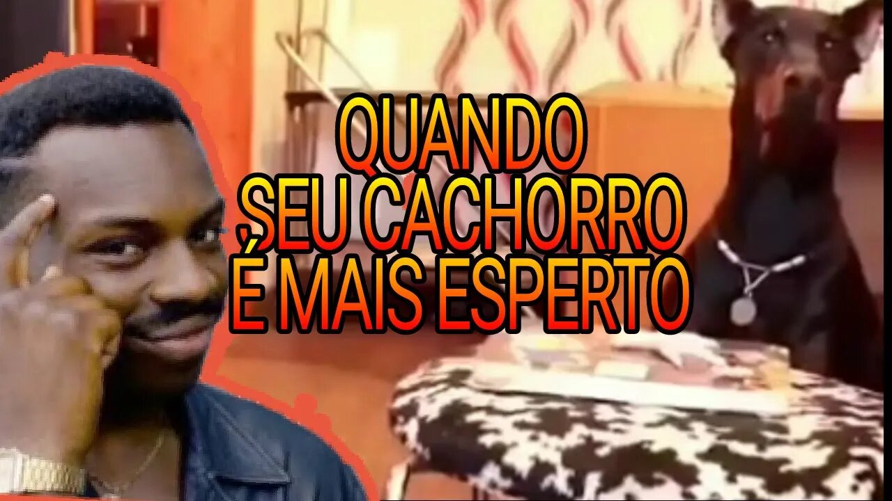 Tente não rir - Quando acha que já viu de tudo, tem essa agora😆😂