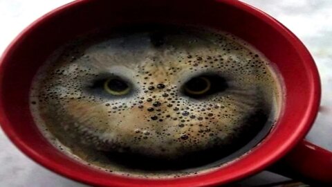 Algunas fotos sacadas en el momento justo o perfectamente alineadas