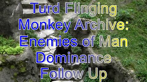 2. Turd Flinging Monkey Enemies of Man Dominance Follow Up (Mirror)