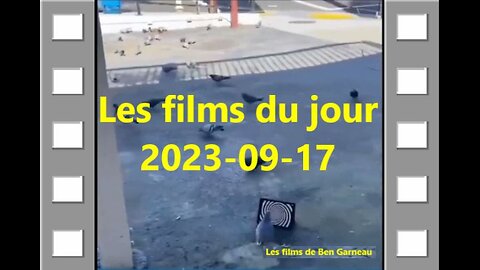 Les films du jour = 2023-09-17
