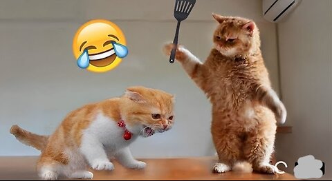 OMG such funny animals 😂 i can't control my laugh