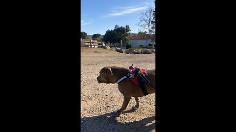 out on a trail