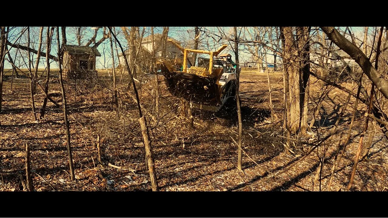 Diamond Forestry Mulcher Demo Day