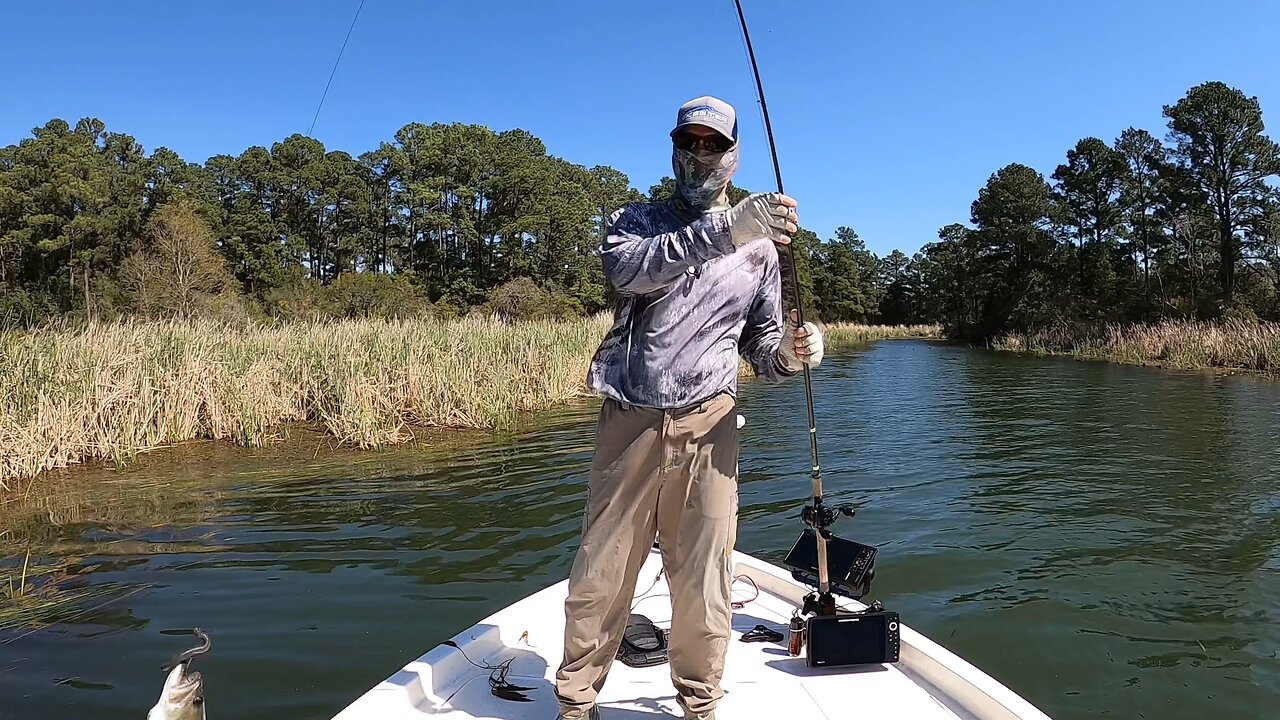 Catch ‘Em on Lake Bastrop