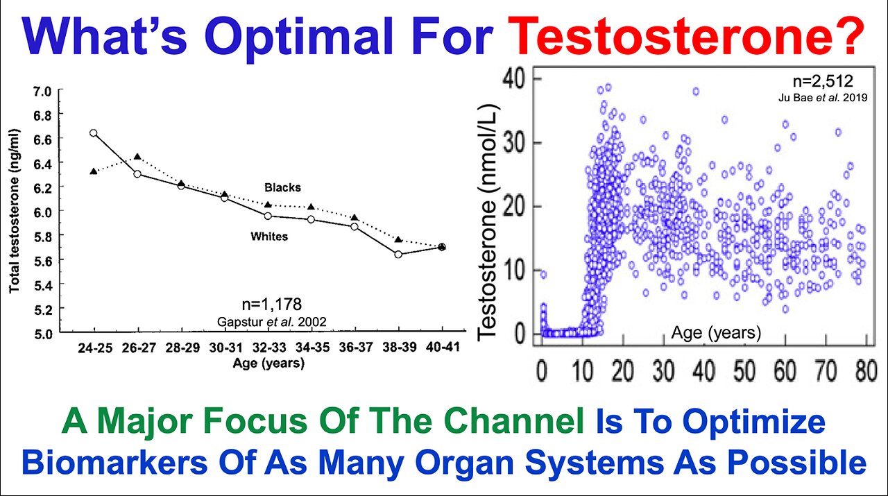 Testosterone Declines During Aging: What's My Data?