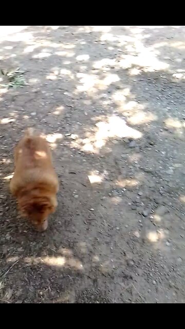 Maxine at the lake Mvskoke Nation Okmulgee Lake 2023 🇺🇸🇺🇸