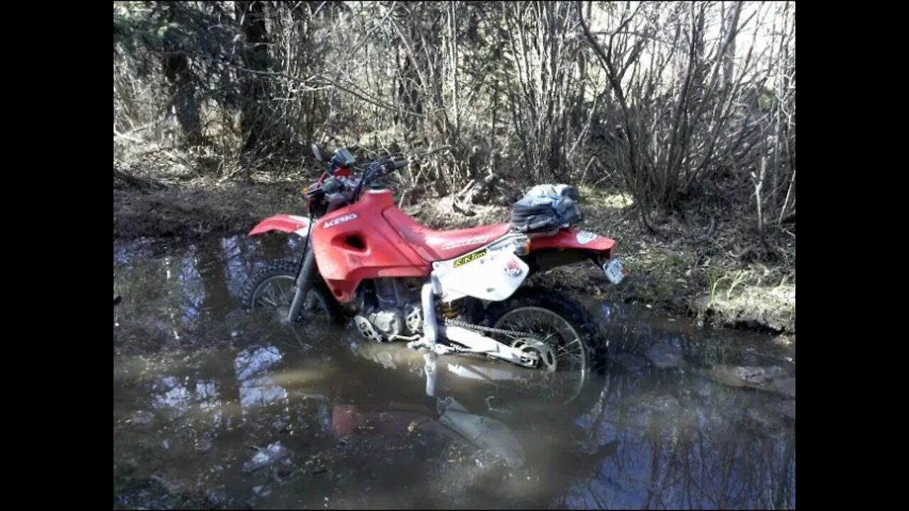 Silent Auction - 2001 Honda XR650R for Motorcycle Relief Project