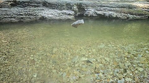 Slow Motion Medium Sized Rock Drop / Splash