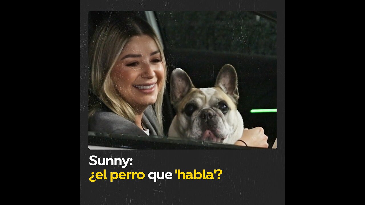 Este perro es la nueva sensación en las redes porque ladra como ‘humano’