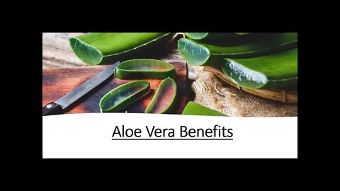 Aloe Vera Benefits