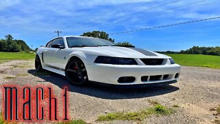 Is the 2003-04 Mustang Mach 1 the next modern classic?