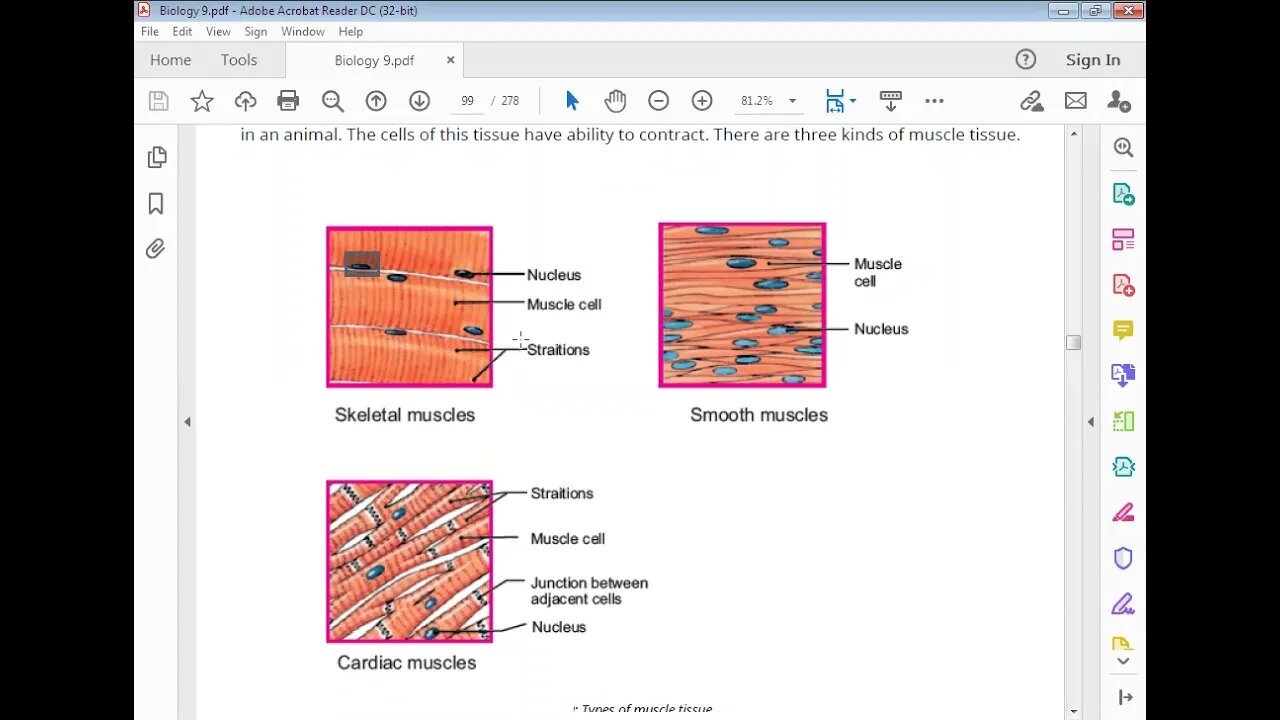 Class 9th Bio Muscle Tissues