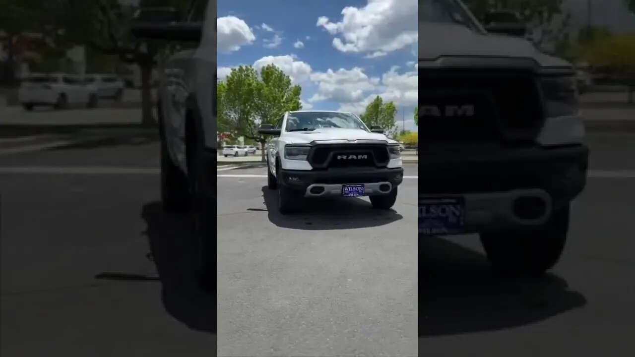 Are you Team Raptor or Team Rebel?