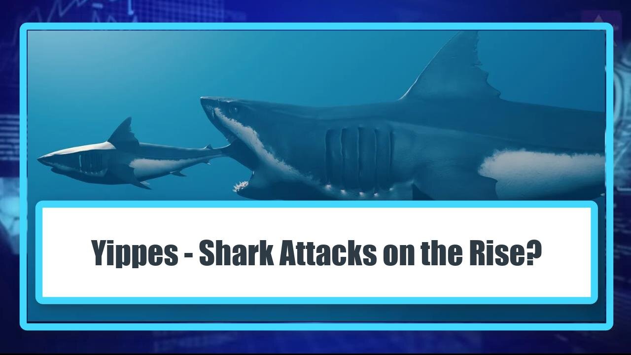 Yippes - Shark Attacks on the Rise?