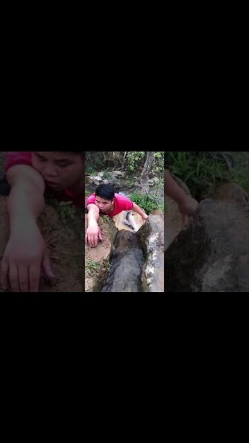 #shorts #2022 funny,prank,funjokes,dad jokes,funny memes,funny video,fun,laughing,funny animal,knock