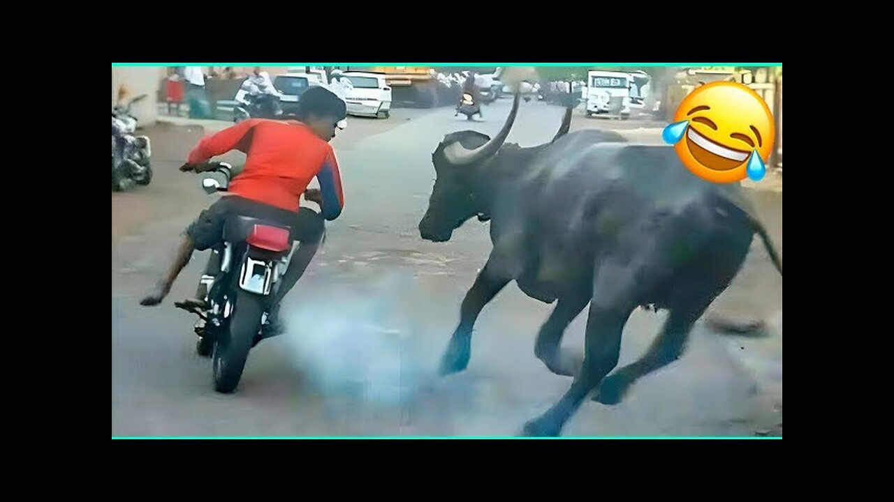 ℹ️ Funny Videos Compilation 🤣 Pranks - Amazing Stunts