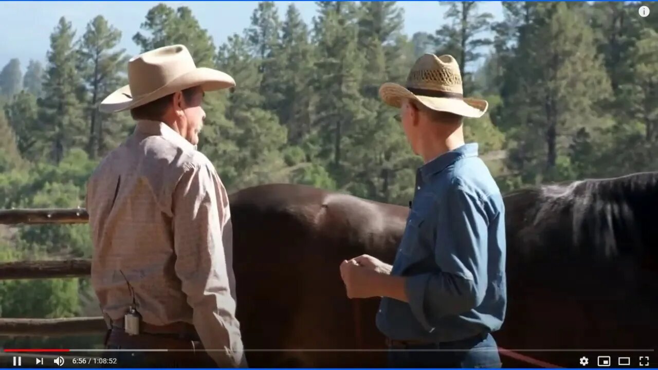 Parelli Works With Spooky Horse & Green Owner With No Experience Who Saved A Mustang - Part 2 of 6