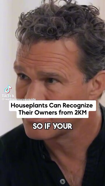 Houseplants Can Recognize Their Owners