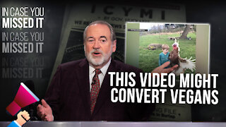 This Video Might CONVERT Some Vegan College Students | ICYMI | Huckabee