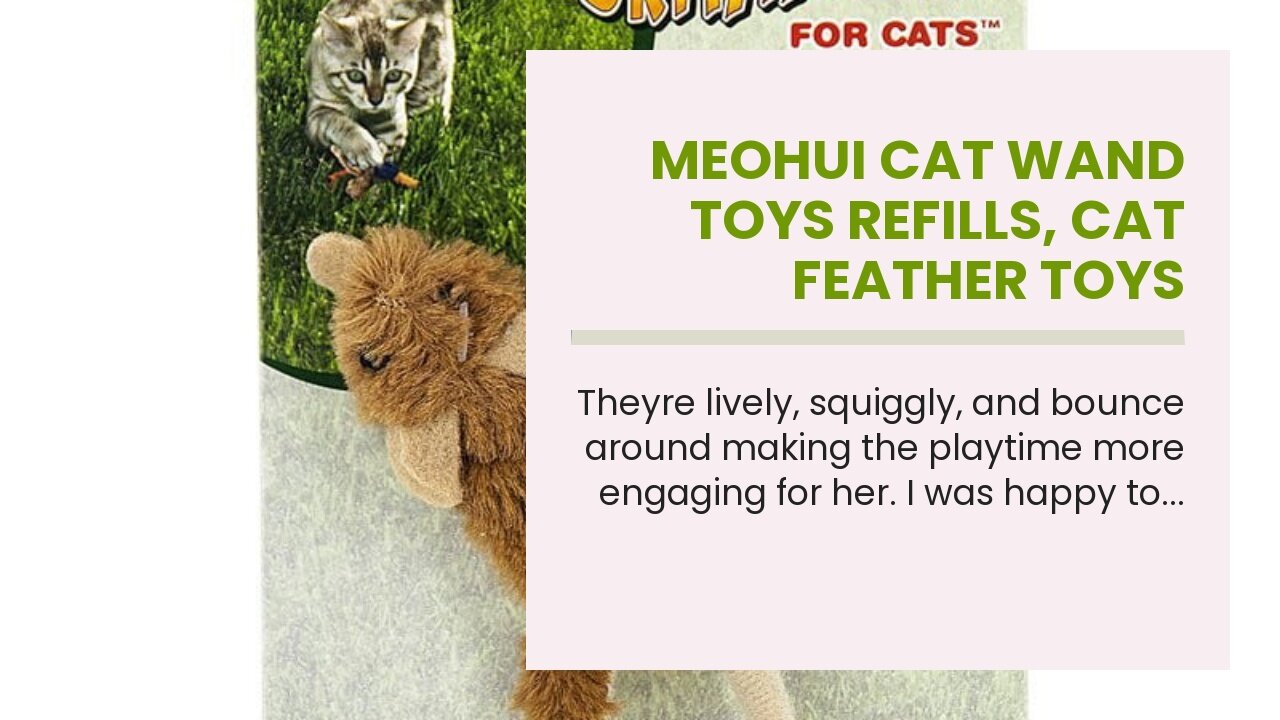 MeoHui Cat Wand Toys Refills, Cat Feather Toys Accessories, 10PCS Squiggly Worms Replacements a...