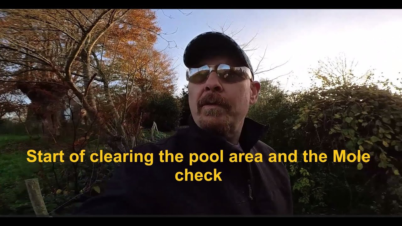 Ep 41 - Pool clearing and Mole check