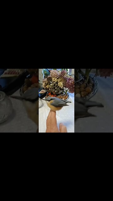 29 października 2023