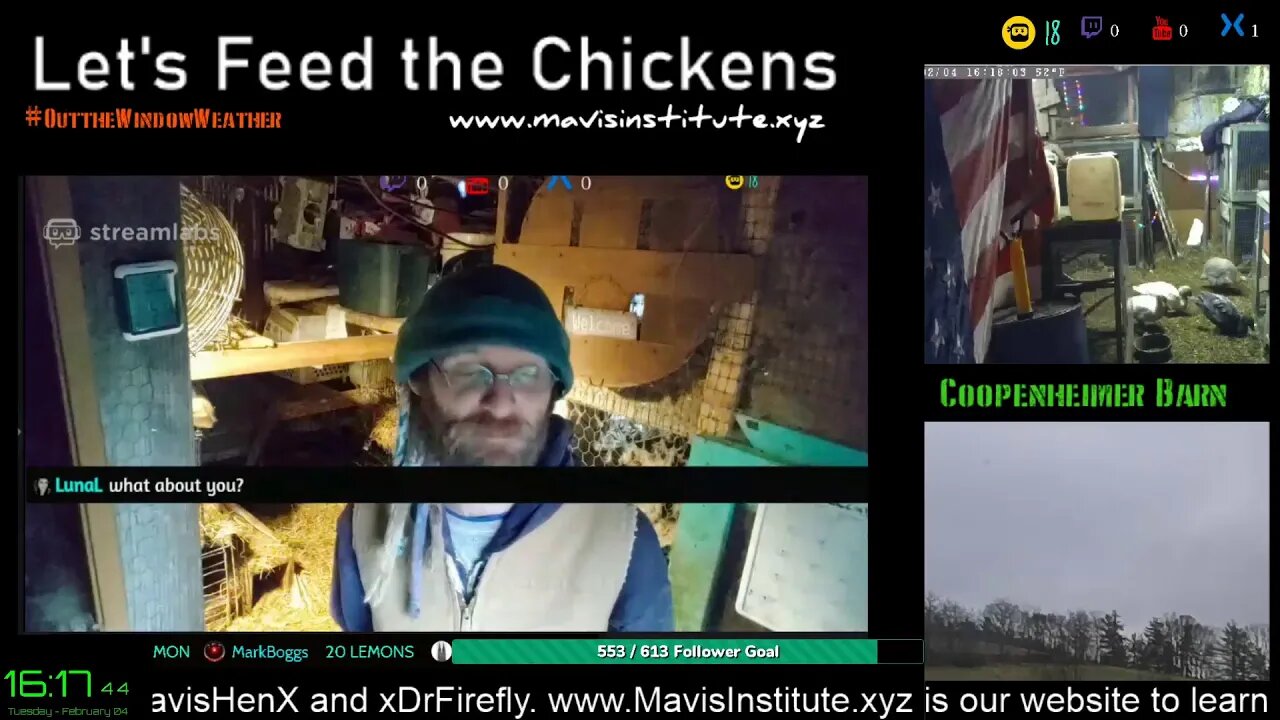 Shadow App, Virus Update and EMF : Let's Feed the Chickens : Ep 46 :