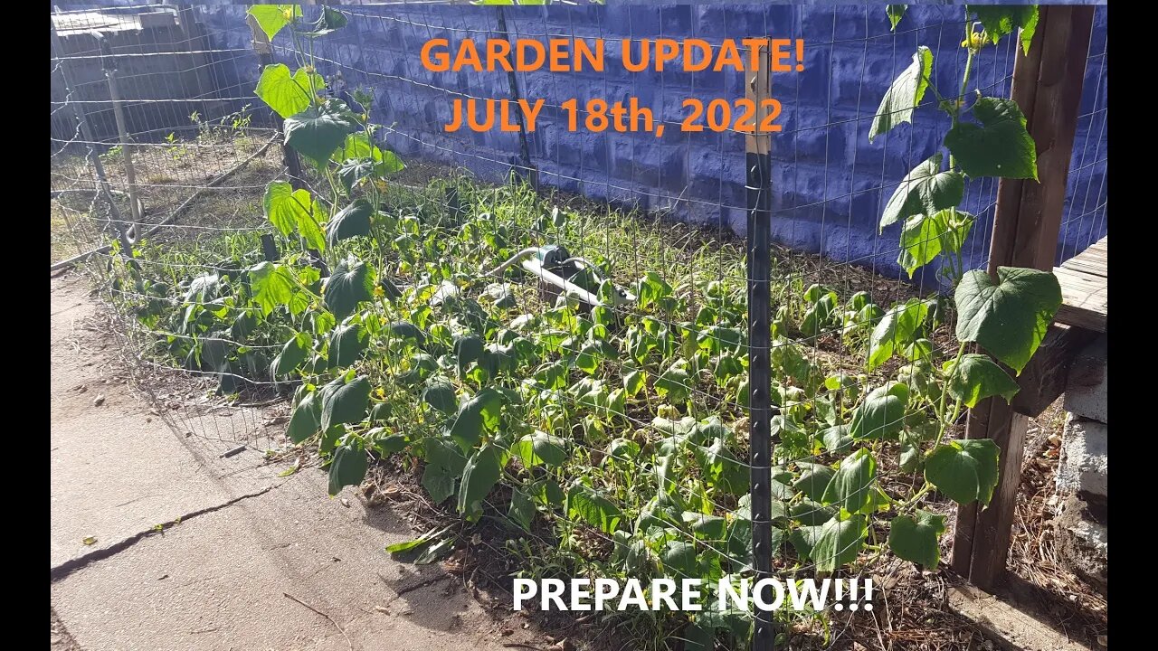 GARDEN UPDATE! JULY 18th #prepping #preparation #preparedness #prepare