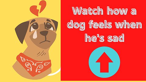 Watch how a dog feels when he's sad