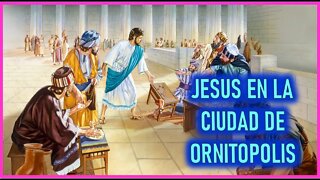 JESUS EN LA CIUDAD DE ORNITOPOLIS - CAPITULO 178 - VIDA DE JESUS Y MARIA POR ANA CATALINA EMMERICK