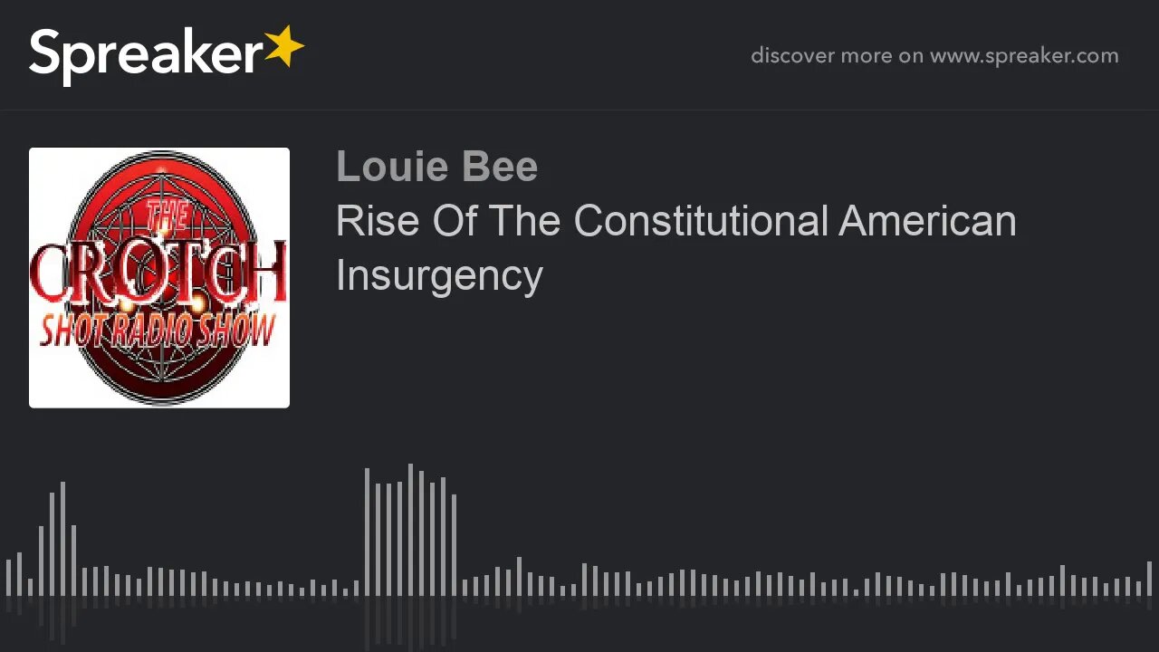 Rise Of The Constitutional American Insurgency